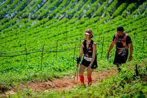 BIB: 2380
                            <button type="button" onclick="openModal(19163794)" class="btn btn-primary btn-sm float-right btn-popup" data-toggle="modal" data-target=".modal-high-quality">
                        <i class="fas fa-shopping-cart"></i> Add to Cart
                    </button>
                                            <button type="button" onclick="isThisMe(19163794, true)" class="btn btn-success btn-sm float-right btn-popup btn-isme hidden" data-toggle="tooltip" data-placement="bottom" title="นี่คือรูปของคุณใช่ไหม คลิกที่นี่เพื่อเอาเข้าอัลบั้ม">
                        <i class="fas fa-plus"></i> Add to album
                    </button>
                    <button type="button" onclick="isThisMe(19163794, false)" class="btn btn-warning btn-sm float-right btn-popup btn-isnotme hidden">
                        <i class="fas fa-ban"></i> Remove from album
                    </button>